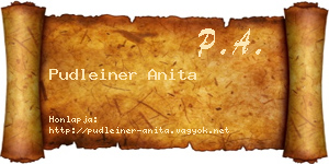 Pudleiner Anita névjegykártya