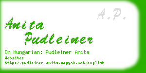 anita pudleiner business card